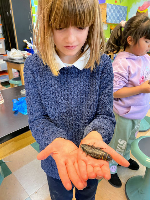Student holding large insect.
