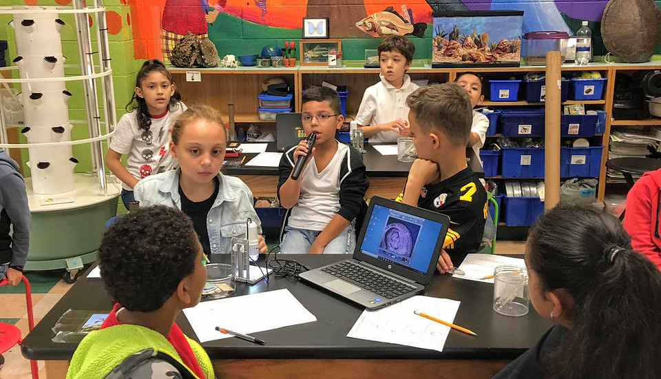 Students engaged in scientific debates in the science lab.